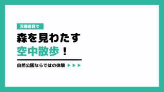万博遊具で森を見わたす空中散歩!自然公園ならではの体験