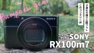 【万博ギア】公園フォトはコンデジRX100m7一択
