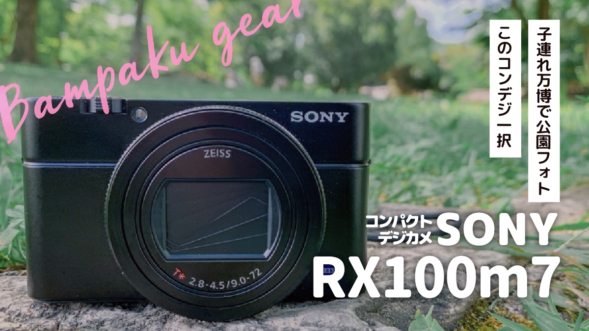 【万博ギア】公園フォトはコンデジRX100m7一択