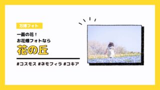 【作例&持ち物付き】一面の花！お花畑フォトなら花の丘｜万博フォト