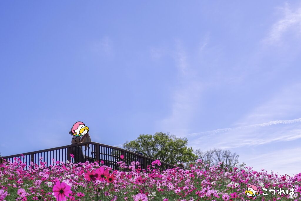 万博記念公園は子連れに最適！
万博記念公園のおすすめポイント
【映えスポット】公園フォトで思い出を