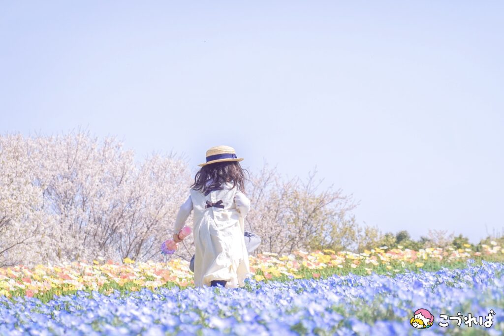 万博記念公園は子連れに最適！
万博記念公園のおすすめポイント
【映えスポット】公園フォトで思い出を
花の丘