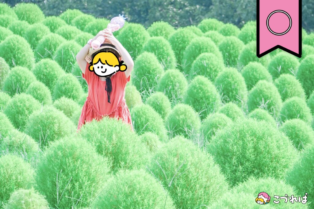 万博記念公園のフォトスポット:花の丘
撮影のコツ③
低めのアングルでうつす