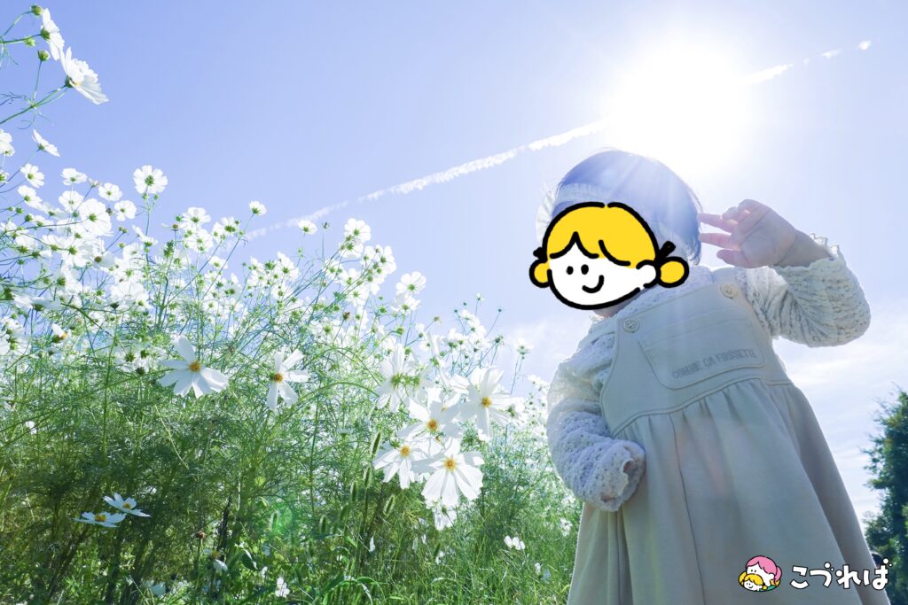 万博記念公園のフォトスポット：花の丘
撮影のコツ④
写すものは、花とこどもだけ