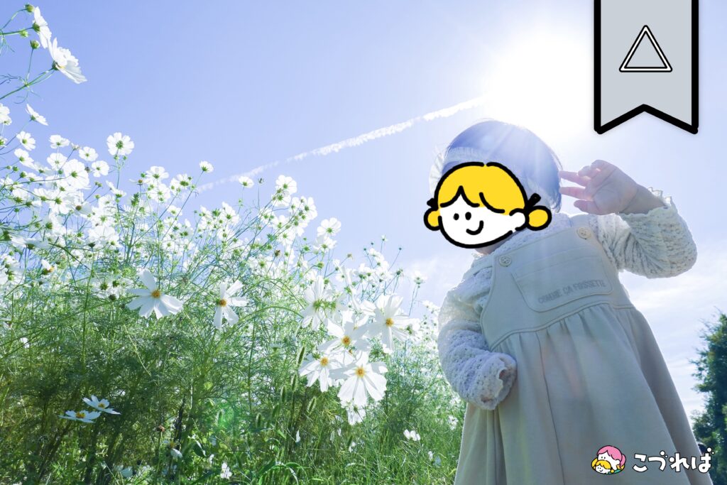 万博記念公園のフォトスポット:花の丘
撮影のコツ④
写すものは、花とこどもだけ