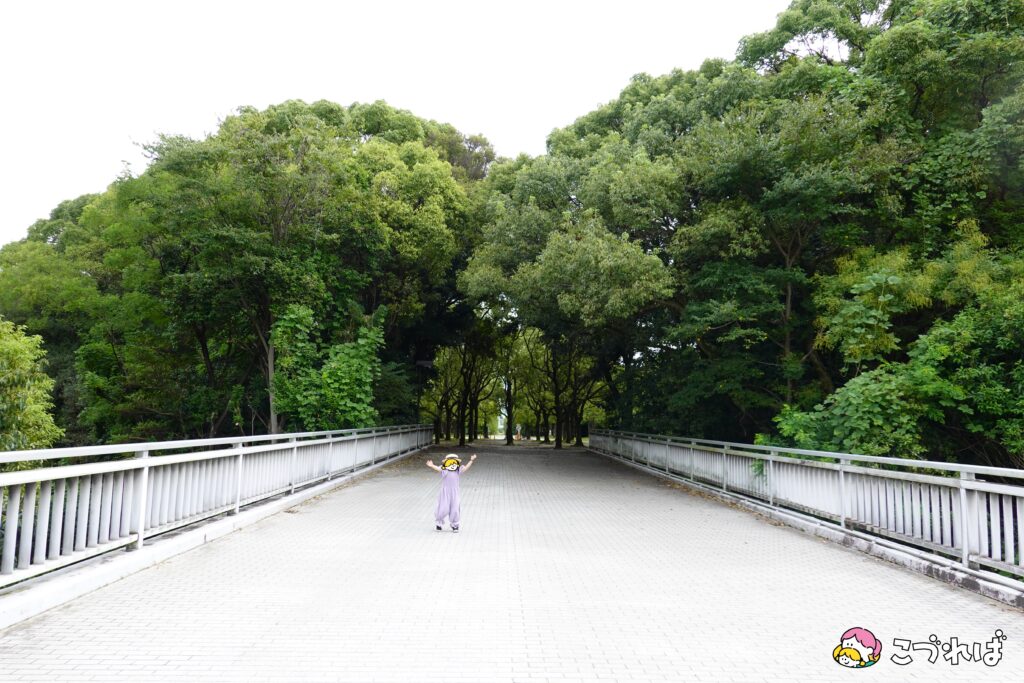 万博記念公園のフォトスポット：花の丘
西口からのルート①
西口から入園