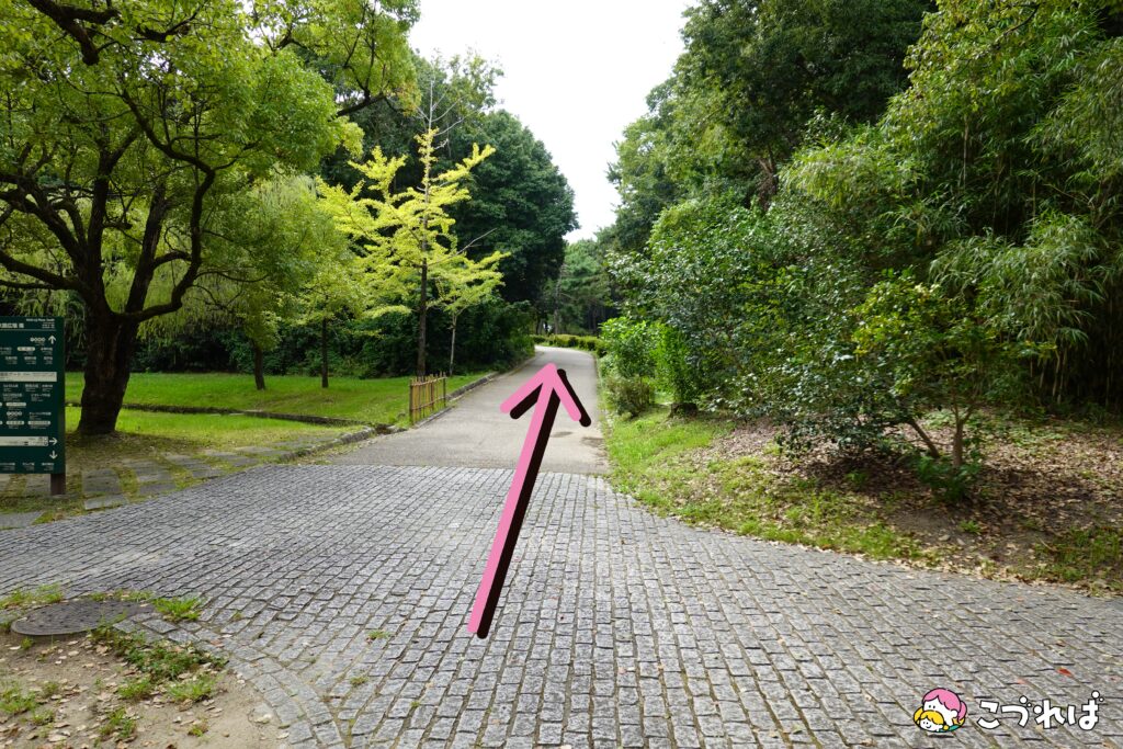 万博記念公園のフォトスポット：花の丘
西口からのルート③
右に曲がったら直進