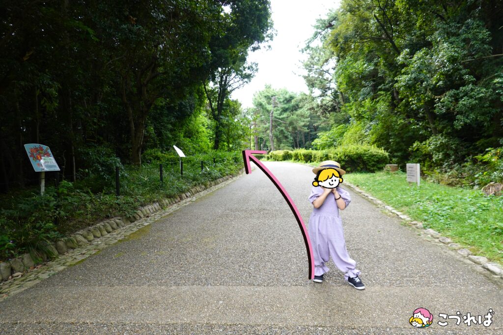 万博記念公園のフォトスポット：花の丘
西口からのルート④
道なりに左の方へ