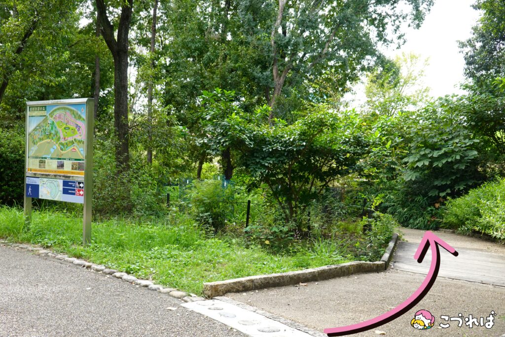 万博記念公園のフォトスポット：花の丘
西口からのルート⑥
看板が見えたら右の小道へ