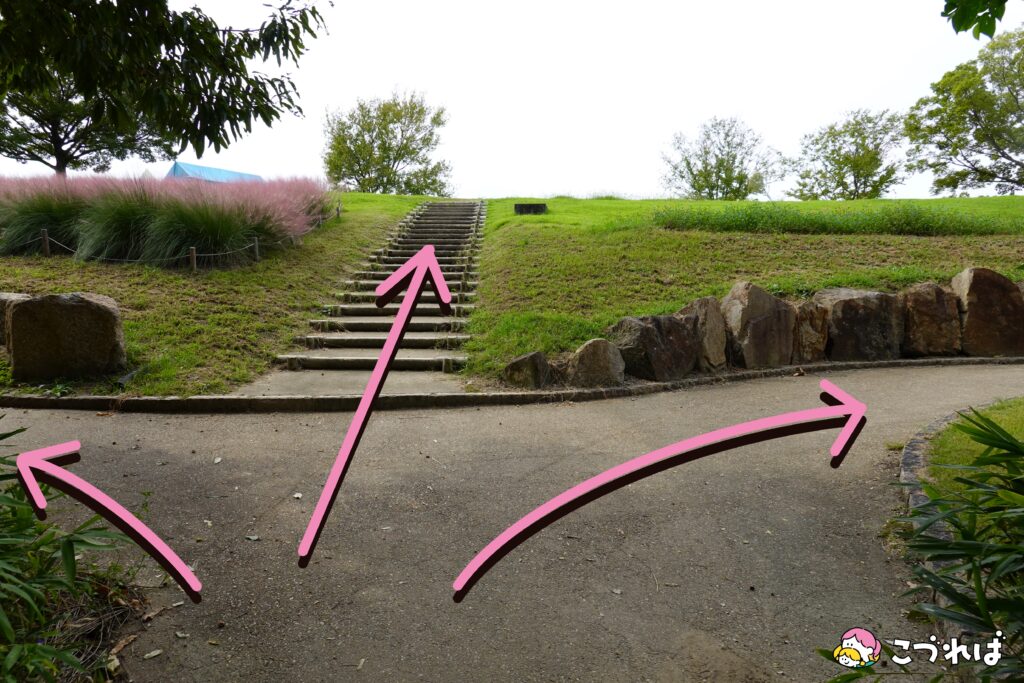 万博記念公園のフォトスポット：花の丘
西口からのルート⑦
到着！まっすぐ階段を上がれば丘の上。ベビーカーは左右からすすんで