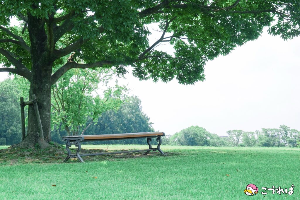 万博記念公園のフォトスポット：花の丘
丘の上のベンチ