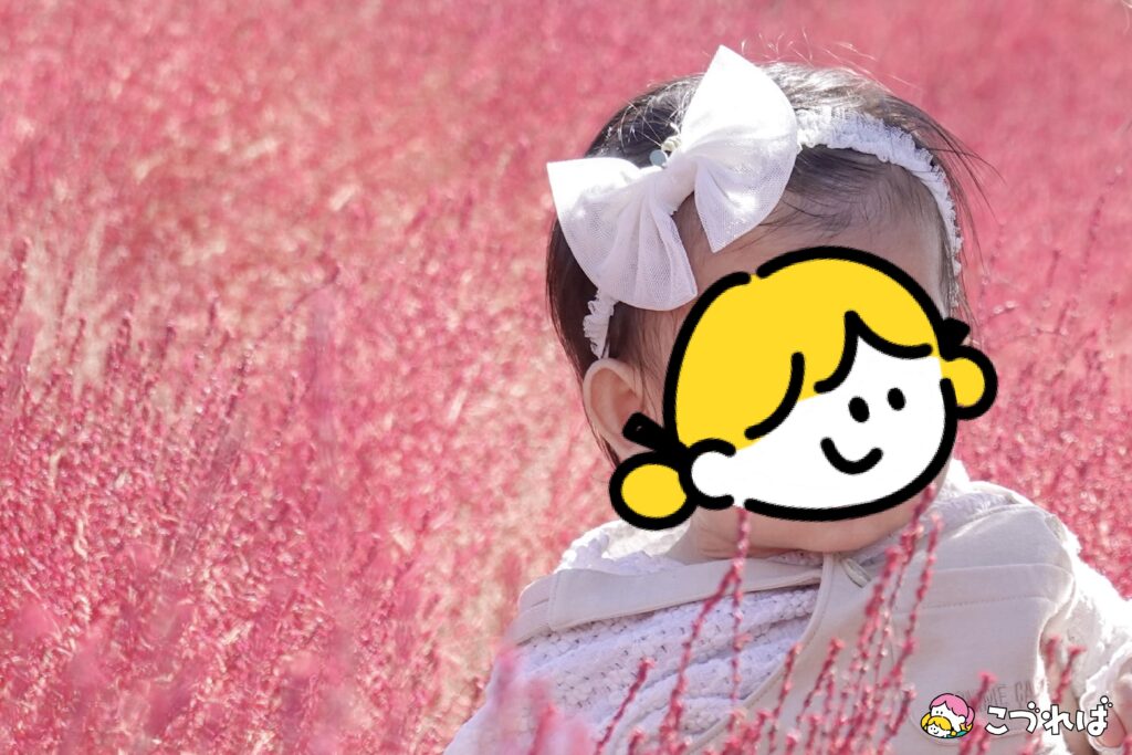 万博記念公園のフォトスポット:花の丘
秋は紅葉コキアで赤の世界が広がる!