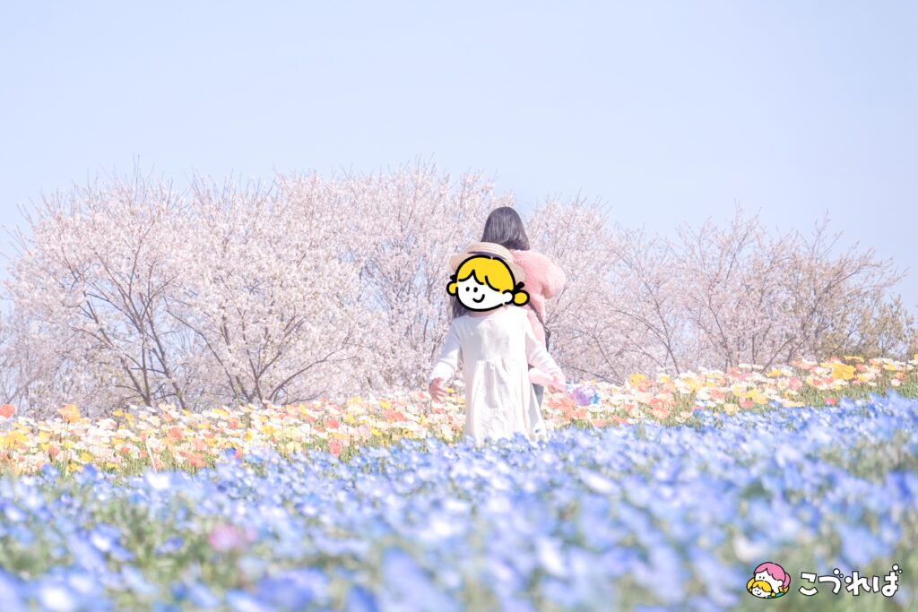 万博記念公園のフォトスポット：花の丘
撮影のコツ②
背景には、空だけうつす