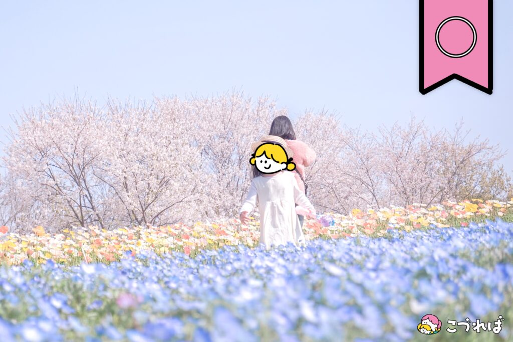 万博記念公園のフォトスポット:花の丘
撮影のコツ②
背景には、空だけうつす