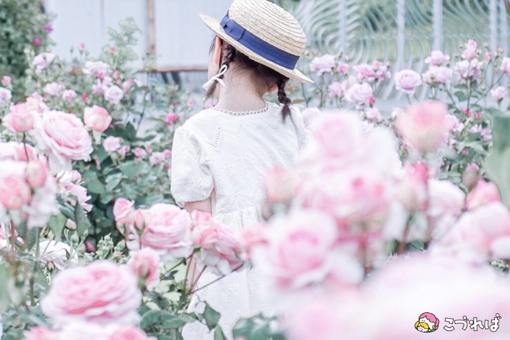 万博記念公園は子連れに最適！
万博記念公園のおすすめポイント
【映えスポット】公園フォトで思い出を
平和のバラ園