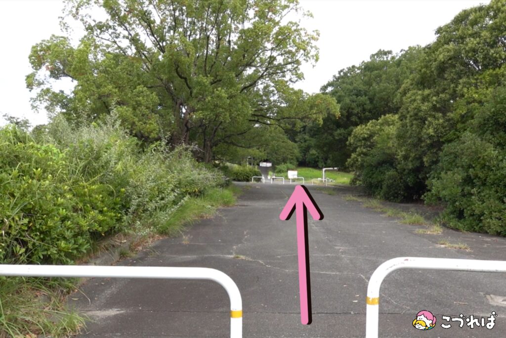 万博記念公園のアクセス
万博おゆば駐車場から園内までの行き方
②まっすぐ進む