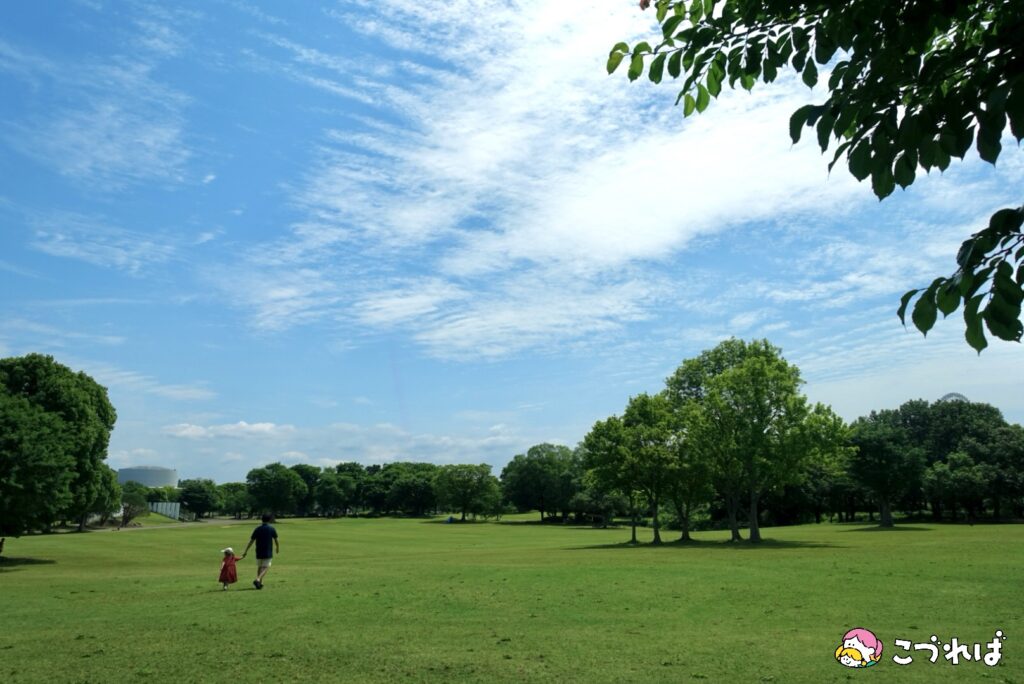 万博記念公園は子連れに最適！
万博記念公園のおすすめポイント
【のびのび遊べる】広大な芝生広場