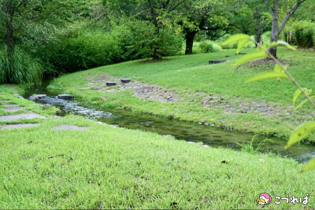 万博記念公園は子連れに最適！
万博記念公園のおすすめポイント
【癒される自然】大人もリフレッシュ
小川のせせらぎ