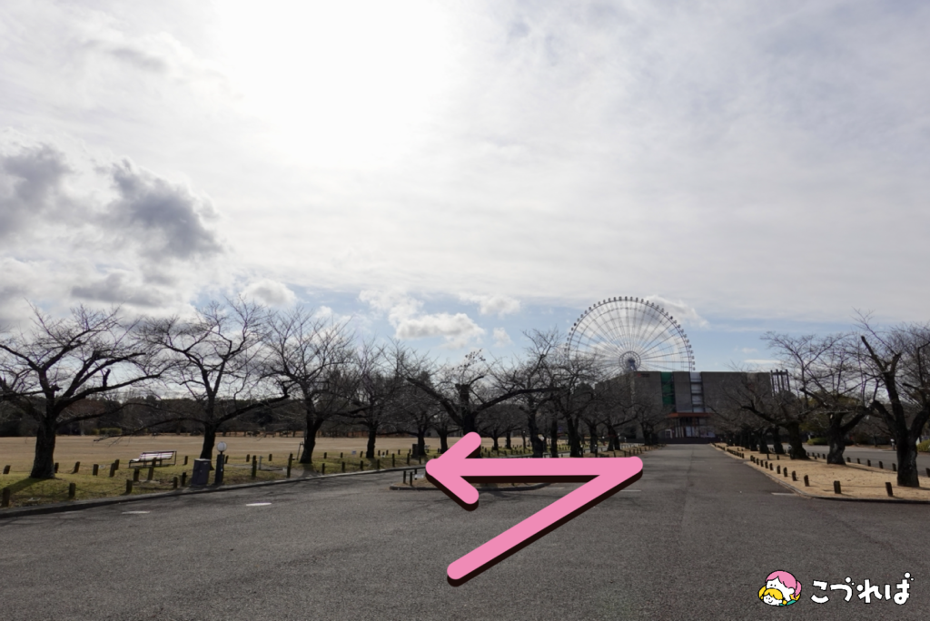 万博記念公園 東の広場のアクセス
東口ゲートからのルート
ゲートを出て左へ